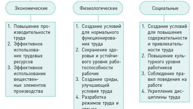 Photo of Принципы организации труда