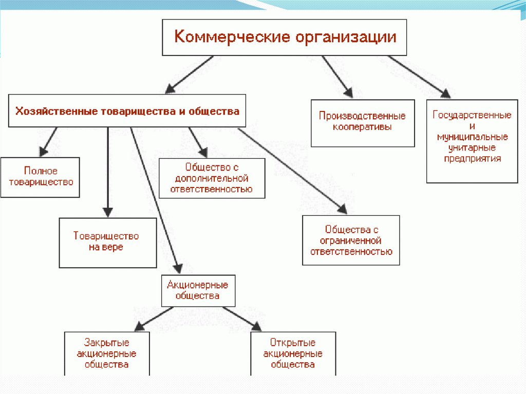 Коммерческий год это что. Коммерческие организации. Частные коммерческие организации. К коммерческим организациям относятся. Виды коммерческих организаций.